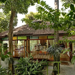 Ambong Rainforest Retreat Деревянный коттедж Пантай-Сенанг